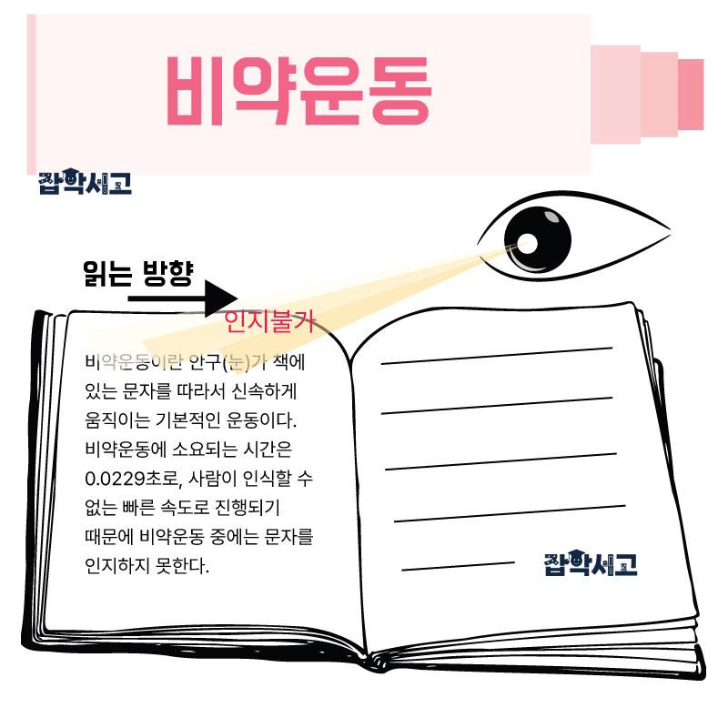 기본적이고 빠른 비약운동(인지 불가능)