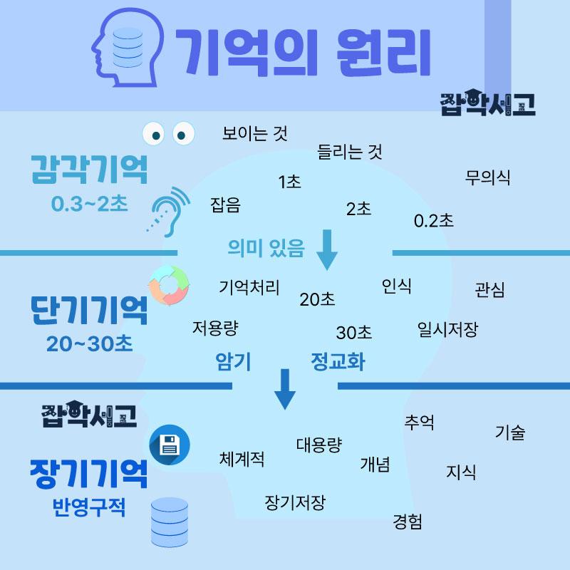 기억의 원리 및 개념도