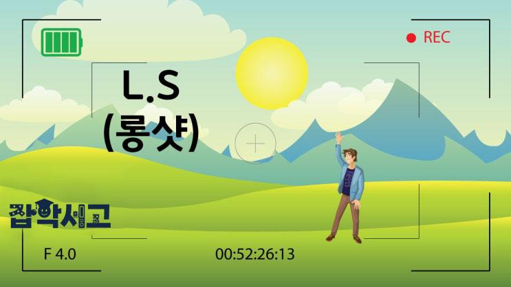 멀리서 배경 위주로 촬영한 롱샷