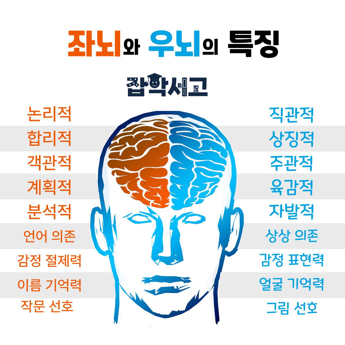 좌뇌형과 우뇌형 인간의 특징 차이