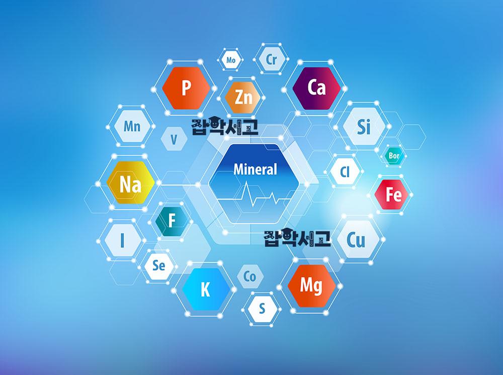 무기질은 인체에서 어떤 기능을 할까?