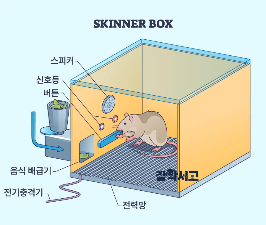 조작적 조건화의 대표적인 실험 - 스키너 박스 실험