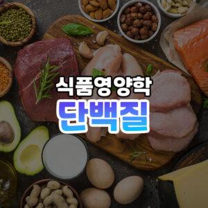 단백질 썸네일