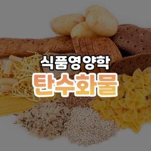 탄수화물 썸네일