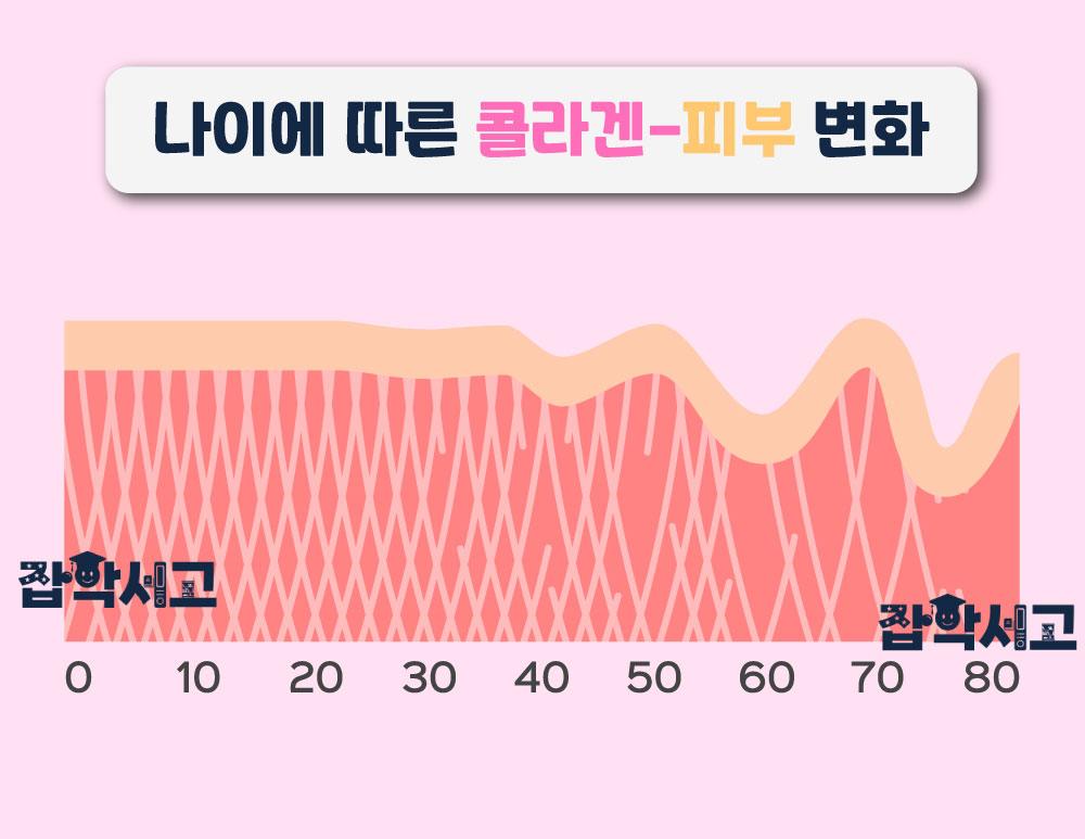 나이에 따른 콜라겐과 피부의 영향은?