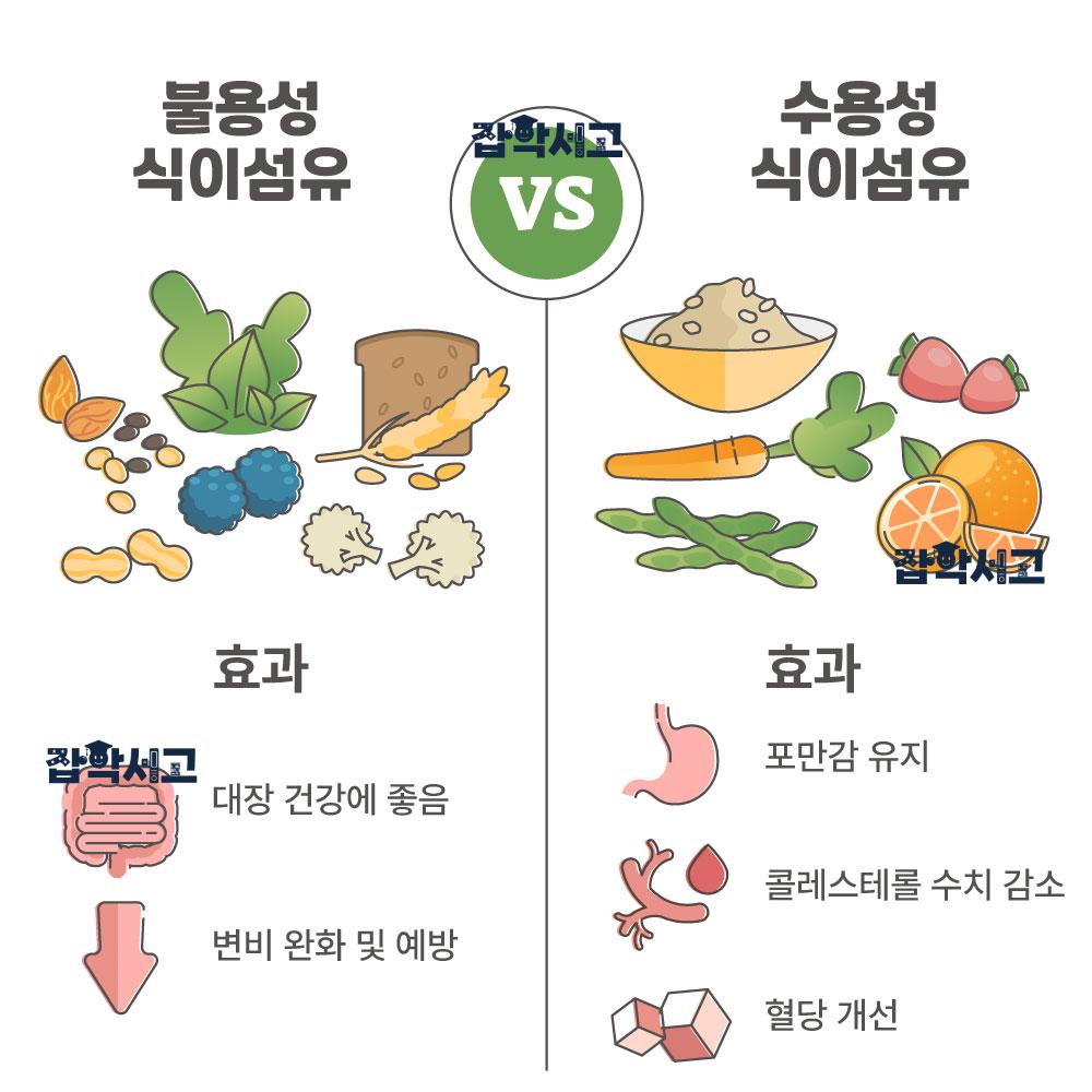 식이섬유는 어떻게 구분하고 이점을 줄까?