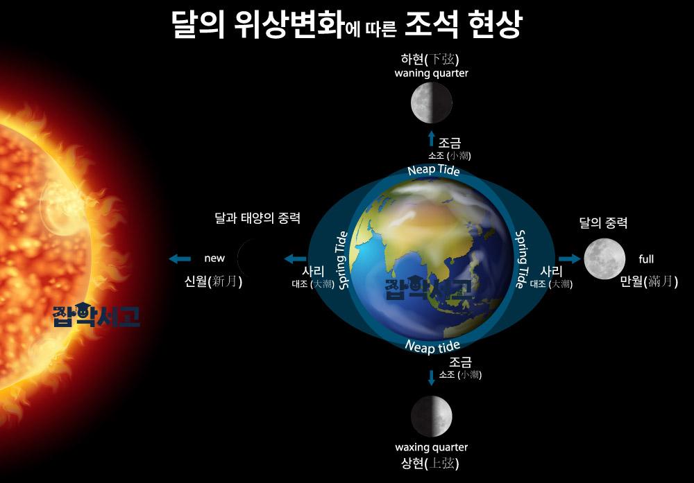 달의 위상변화와 조석현상