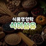 식이섬유 썸네일