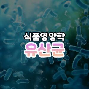 유산균 썸네일