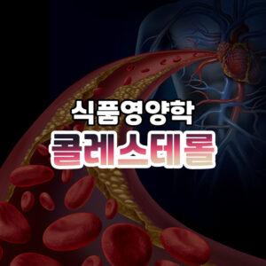 콜레스테롤 썸네일