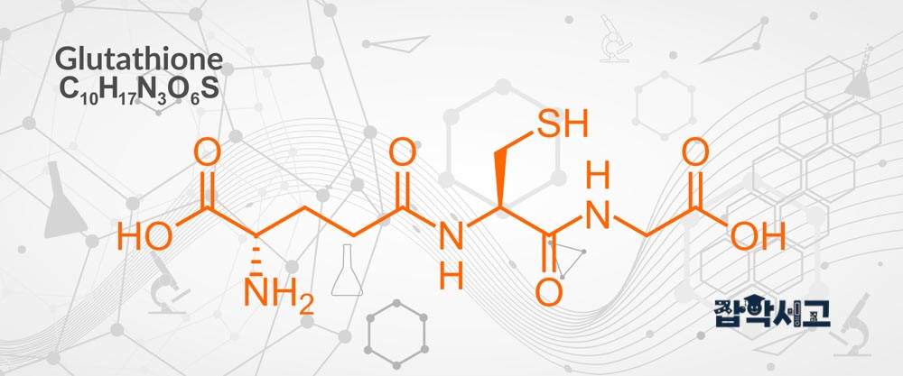 글루타치온이란 무엇인가?