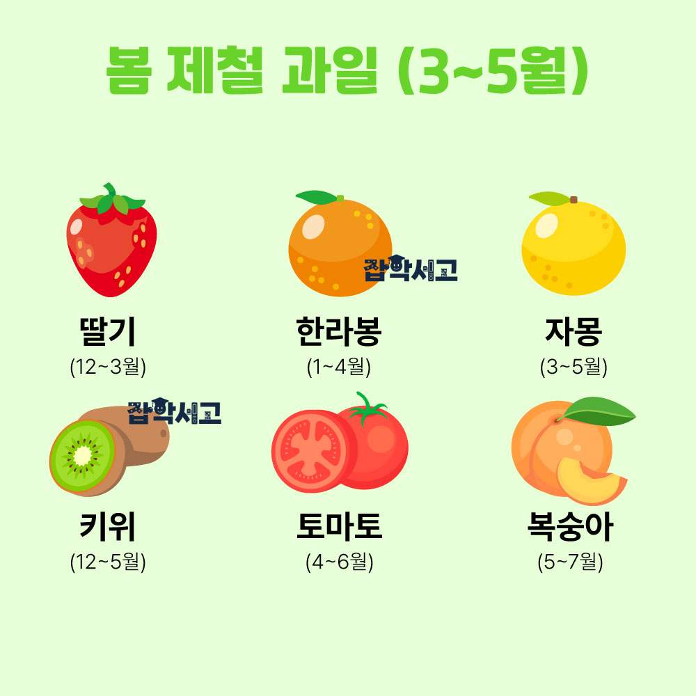 봄 제철 과일(3~5월)