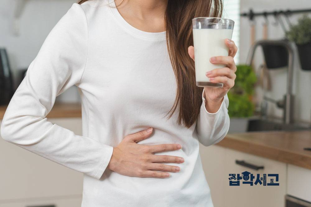 유당이 소화되는 과정은?