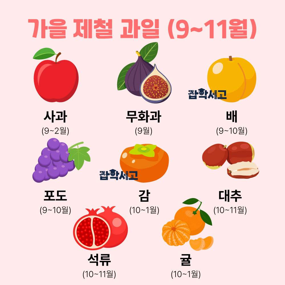 가을 제철 과일(9~11월)