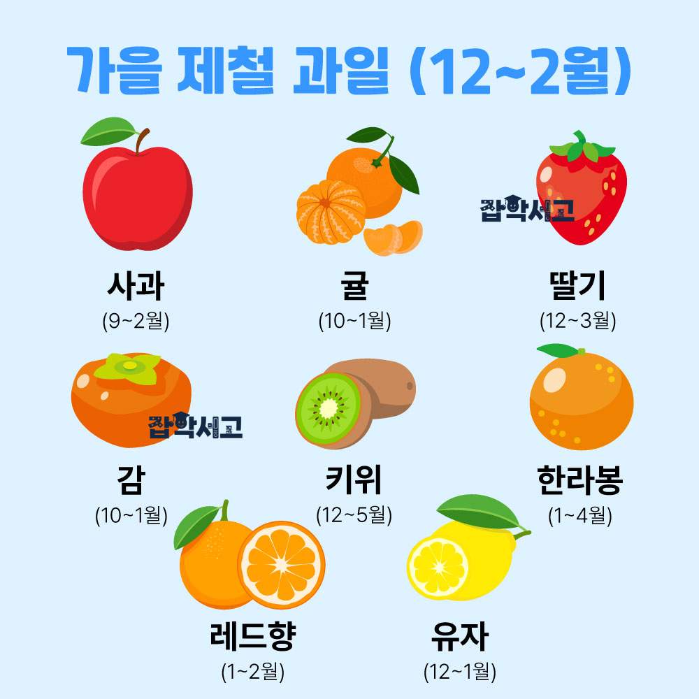 겨울 제철 과일(12~2월)