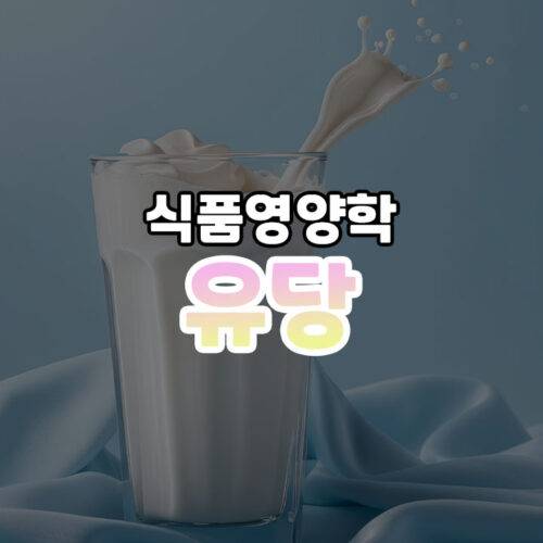 유당 썸네일