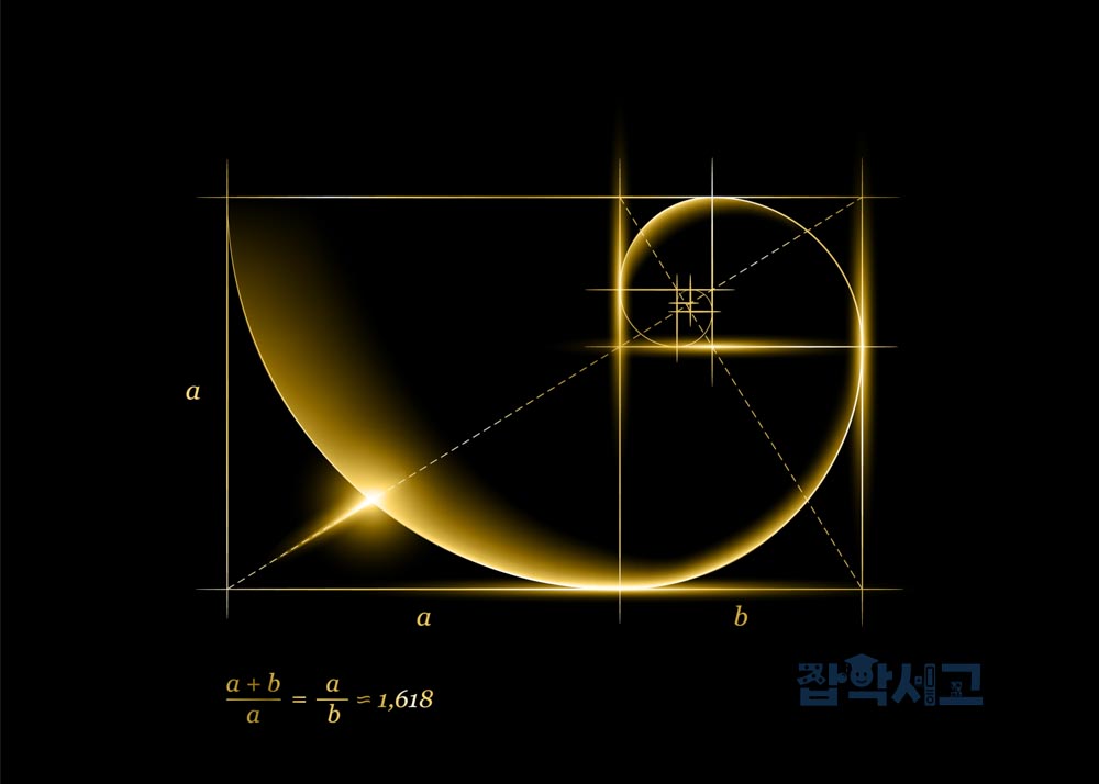 디자인에서 비율의 기본 개념은?