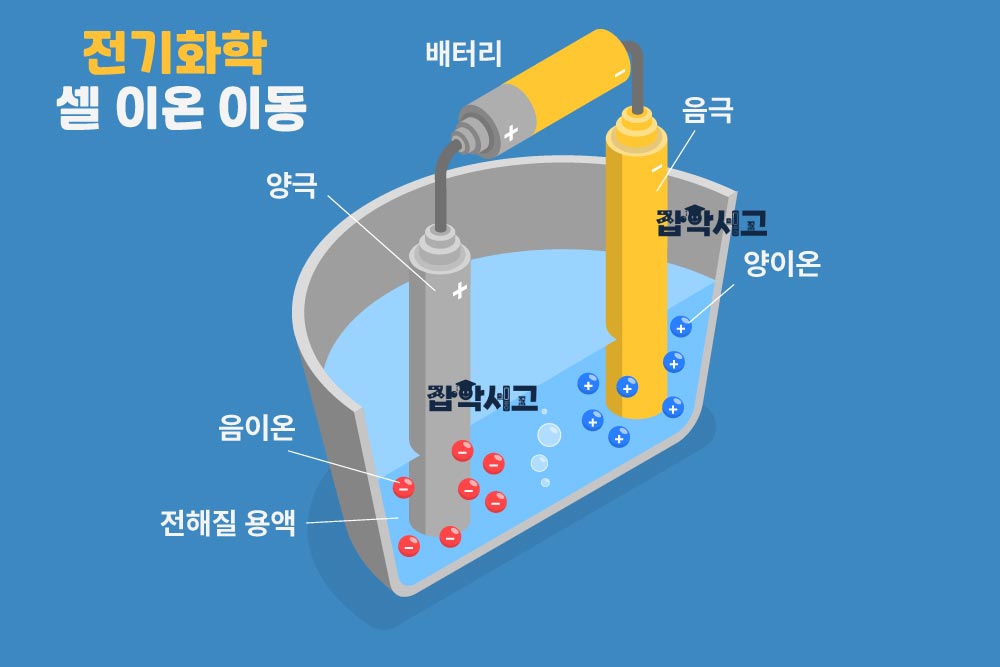 전기화학 셀 이온 이동