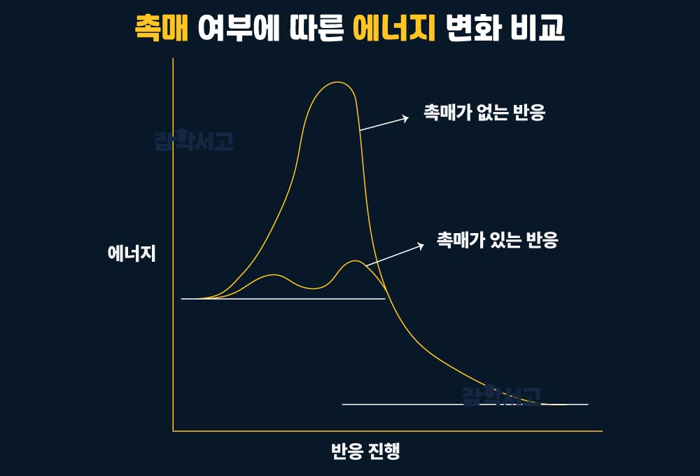 촉매의 기본 원리는?