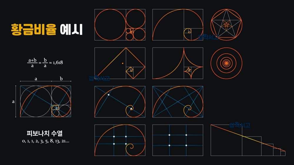 황금비율 예시 2