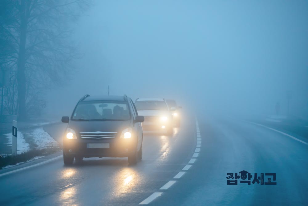 안개가 미치는 영향은?