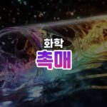 촉매 썸네일