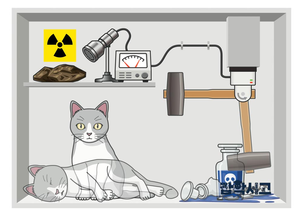 슈뢰딩거의 고양이 사고 실험