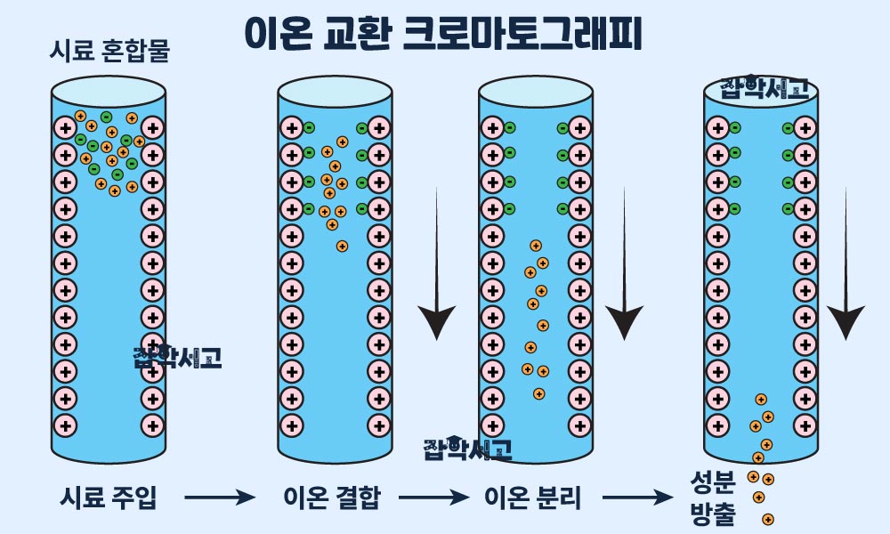 이온 교환 크로마토그래피