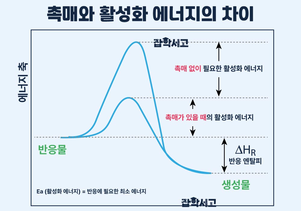 촉매의 활성화 에너지의 차이