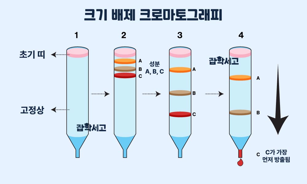 크기 배제 크로마토그래피