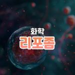 리포좀 썸네일