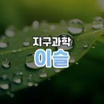 이슬 썸네일